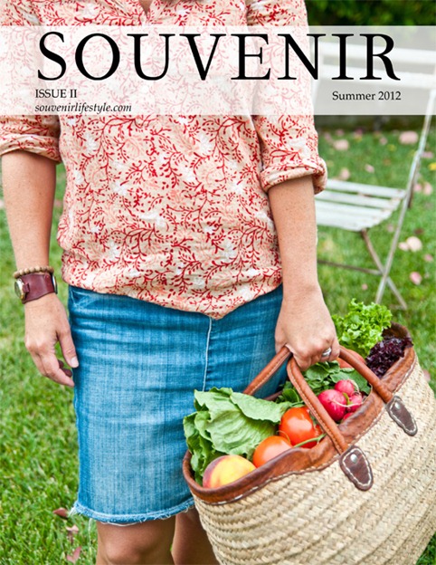 souvenir cover