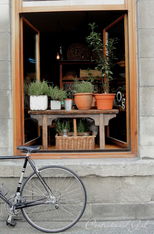 montreal window with bicycle cg
