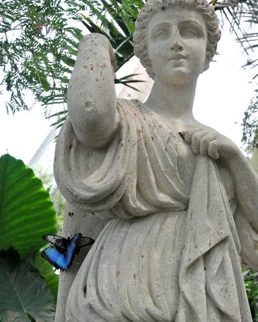statue in conservatory