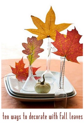 decorate with fall leaves