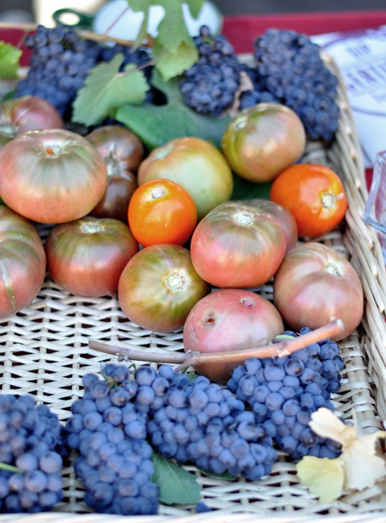 wine grapes and tomatoes