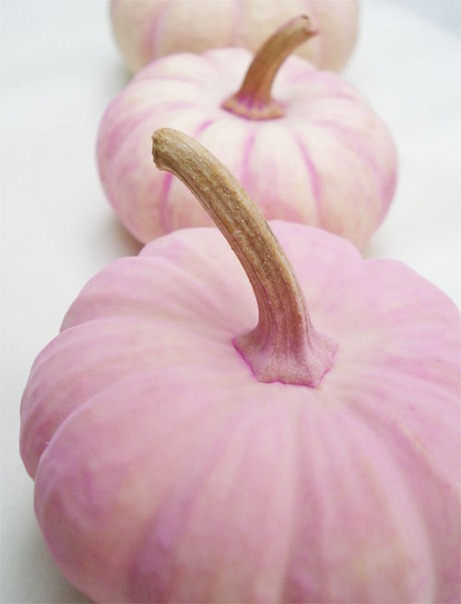pink hue pumpkin