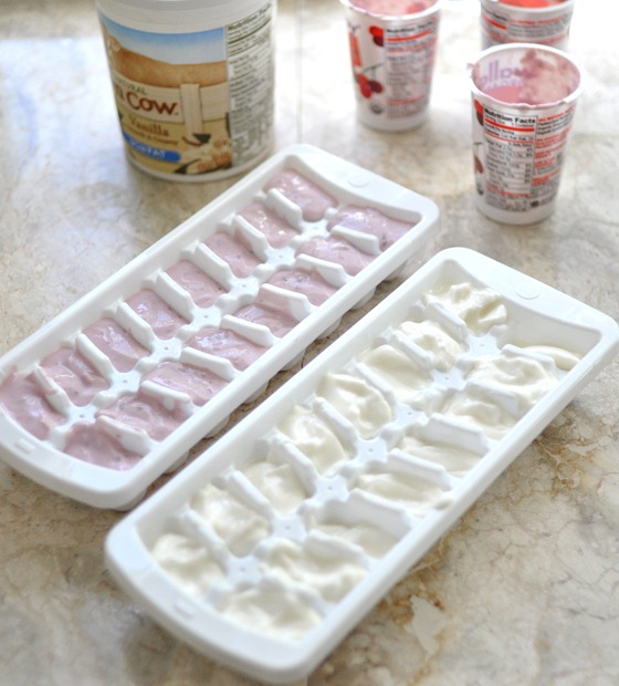 yogurt in ice cube trays