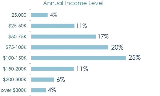 annual income level