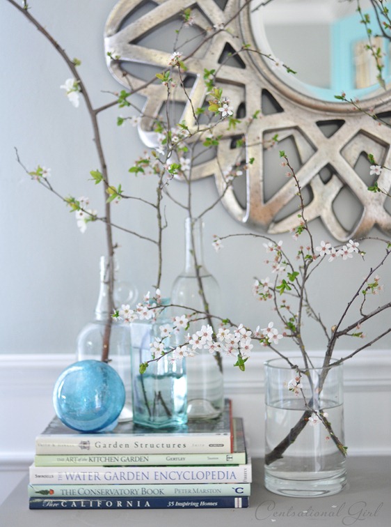 blooming branches in vases