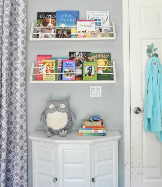 bookshelves and cabinet