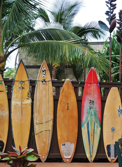 surfboards-on-fence