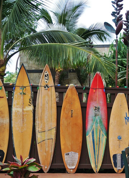 surfboards on fence