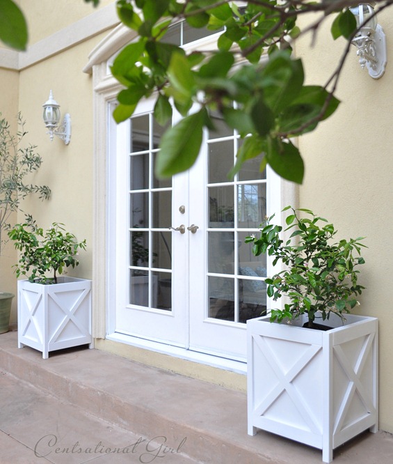 french doors and planters