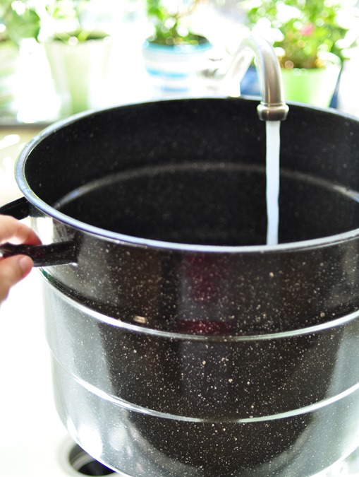 canning pot