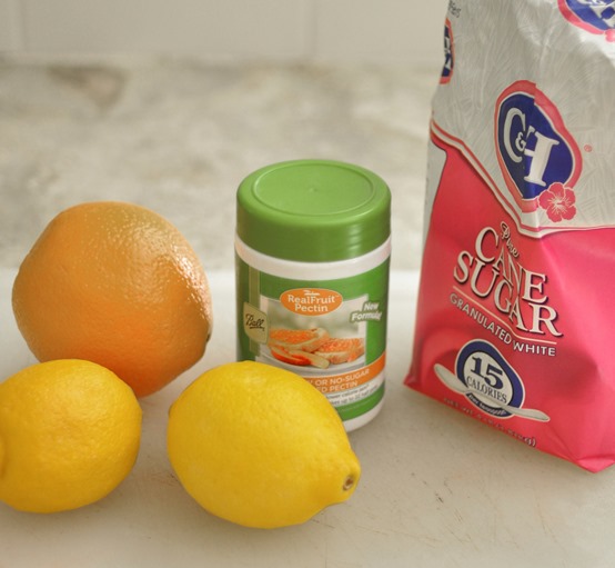 citrus pectin sugar