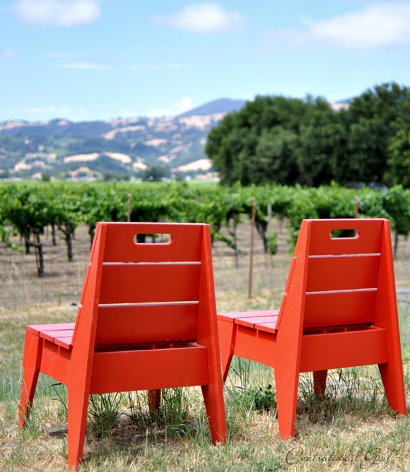 red chairs looking over vineyard