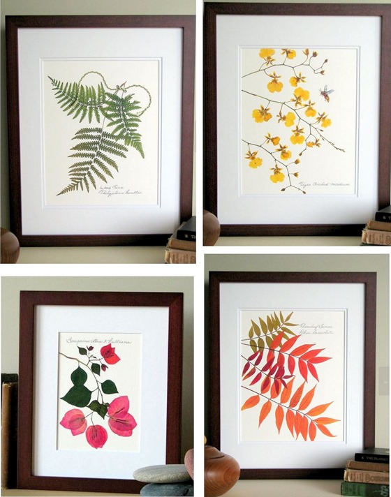 pressed leaf prints flat flower designs