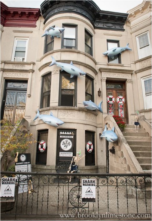 shark attack brooklynlimestone