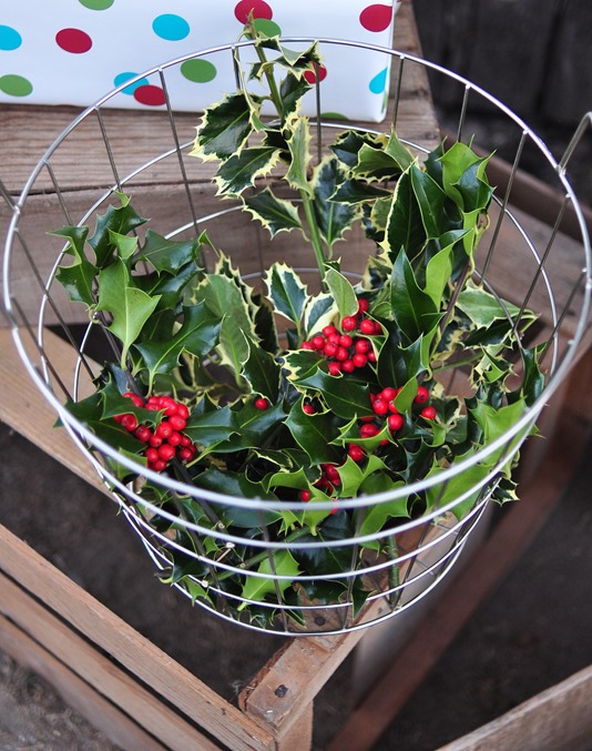 basket of holly