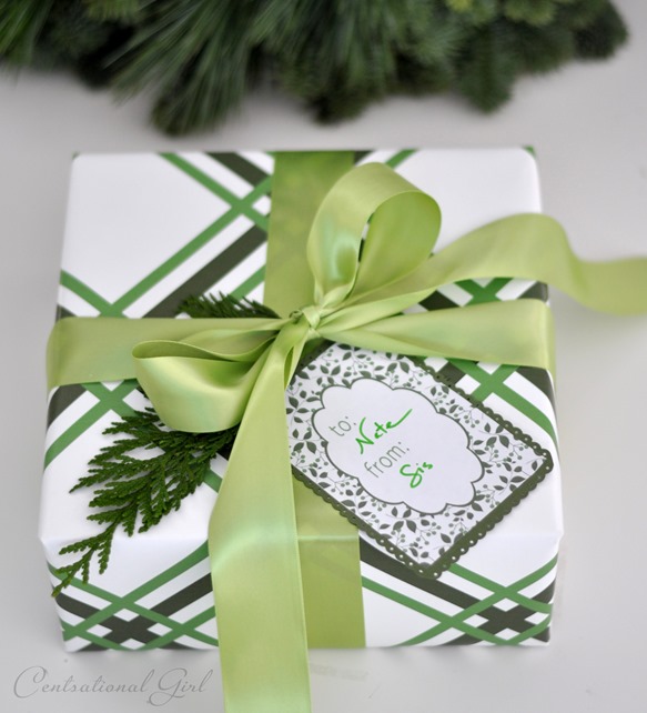 green ribbons gift wrap