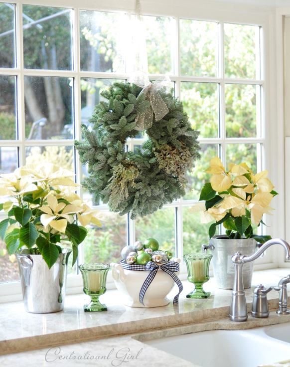 poinsettias and wreath in window