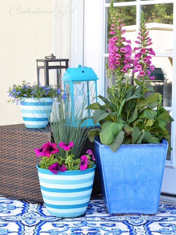 potted plants on balcony