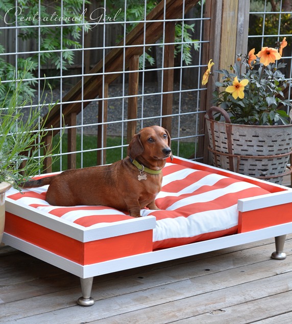 modern dog bed diy