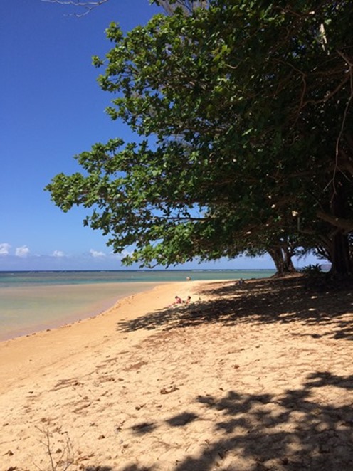 anini beach kauai