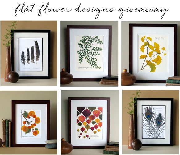 flat flower designs giveaway