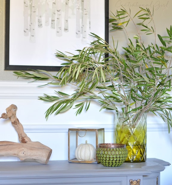 olive leaf branches green vase