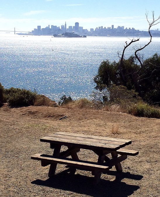 picnic table view of sf