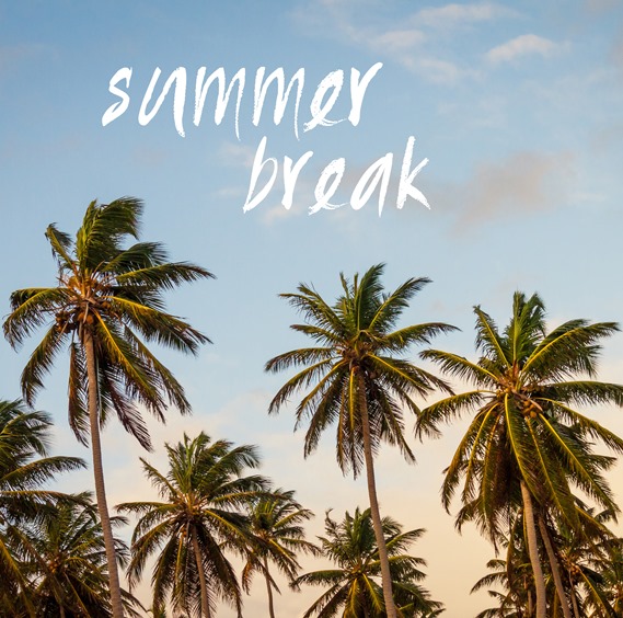 summer break palm trees
