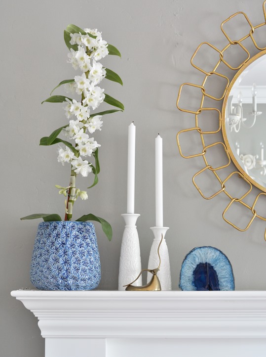 blue orchid pot chain link mirror