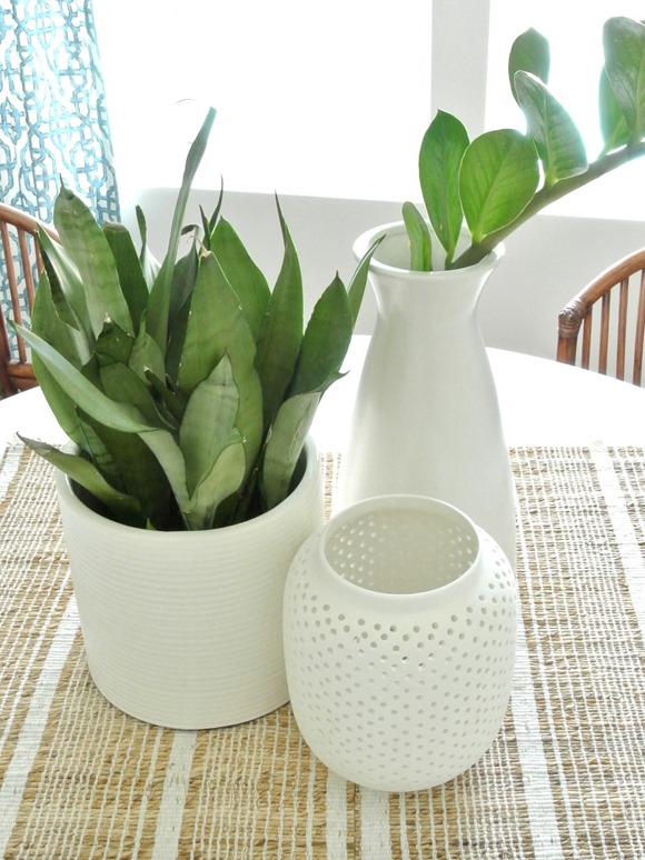 botanicals white vases
