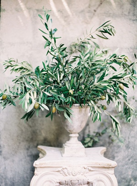 olive branches in urn