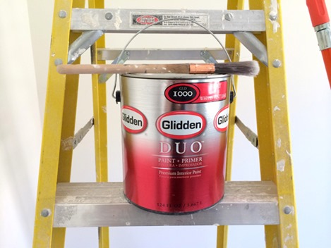 duo paint and primer