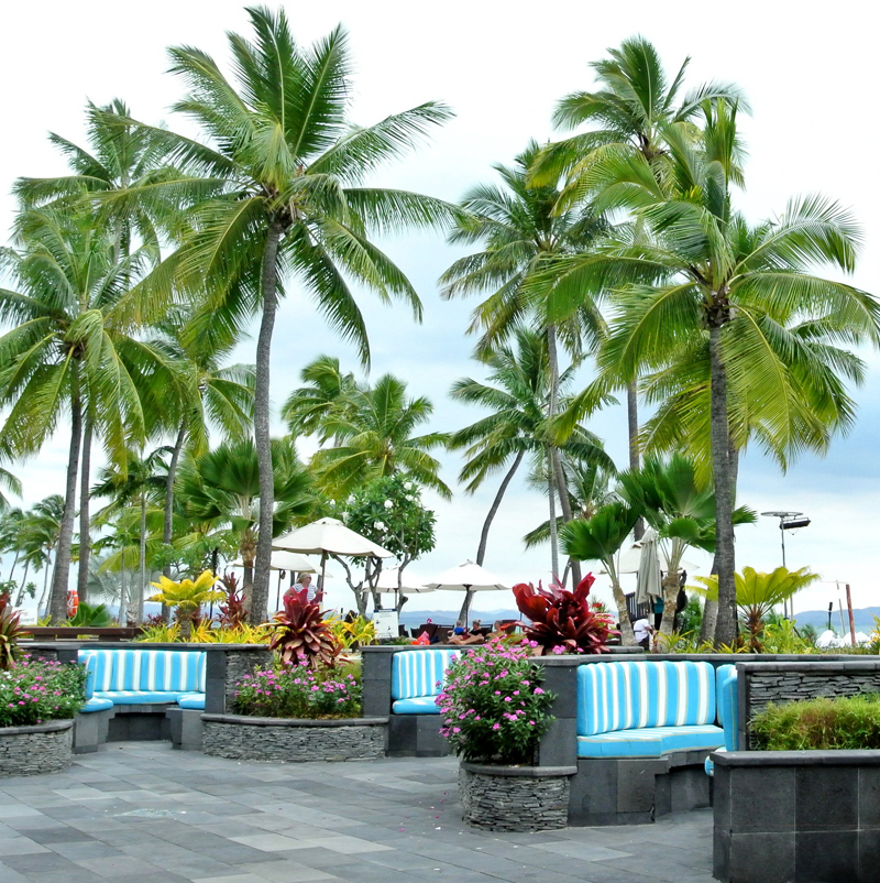 fiji palm trees resort