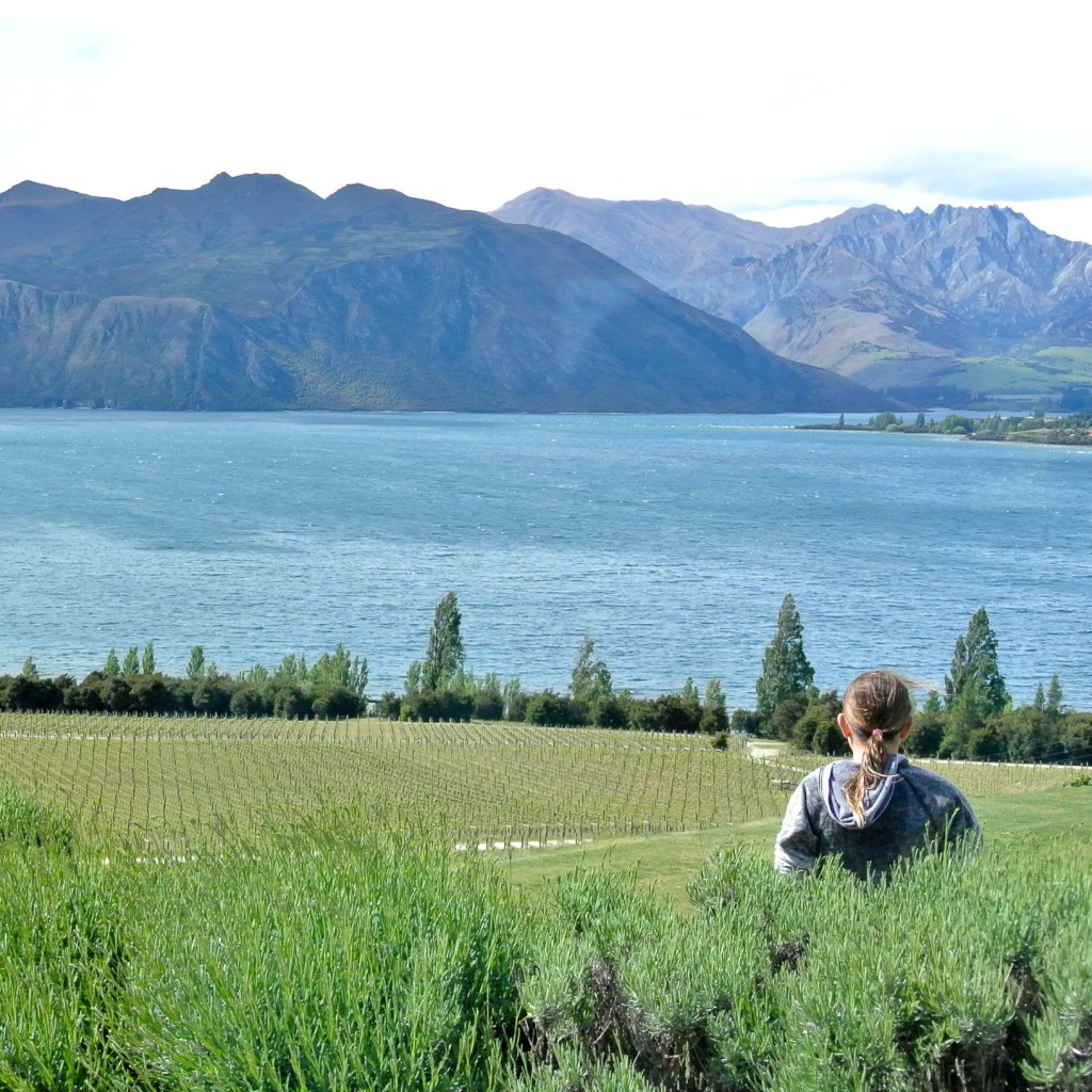 rippon winery view
