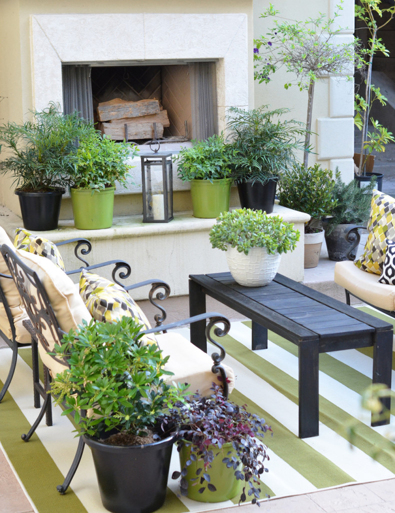 outdoor fireplace plantings